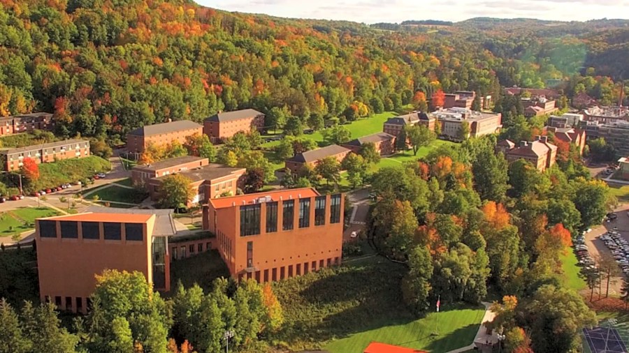 The Alfred Foundation workplace