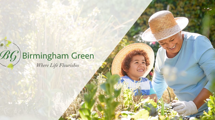 Birmingham Green workplace