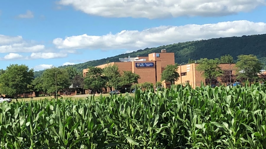 A photo of UR/Noyes Health