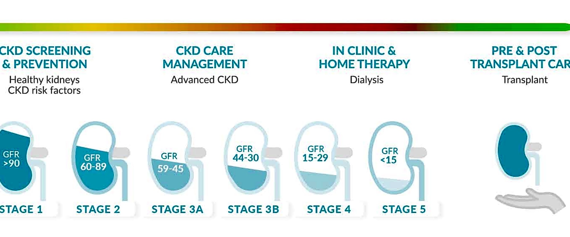 Carmen [kidney] HEALTH workplace