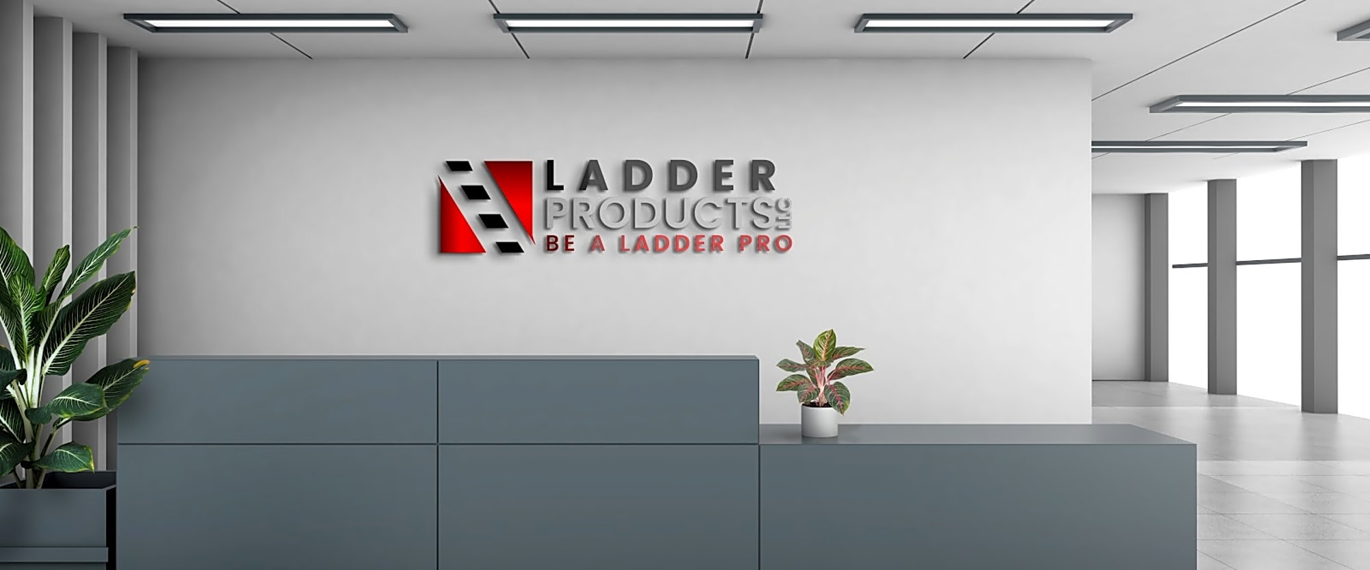 Ladders photo
