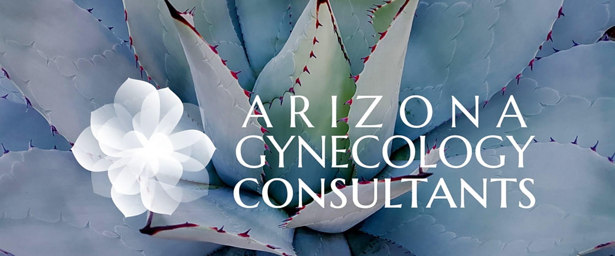 Arizona Gynecology Consultants workplace