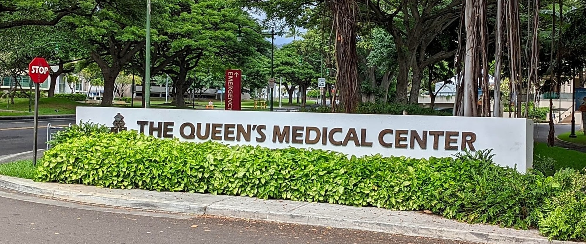 The Queen's Medical Center workplace