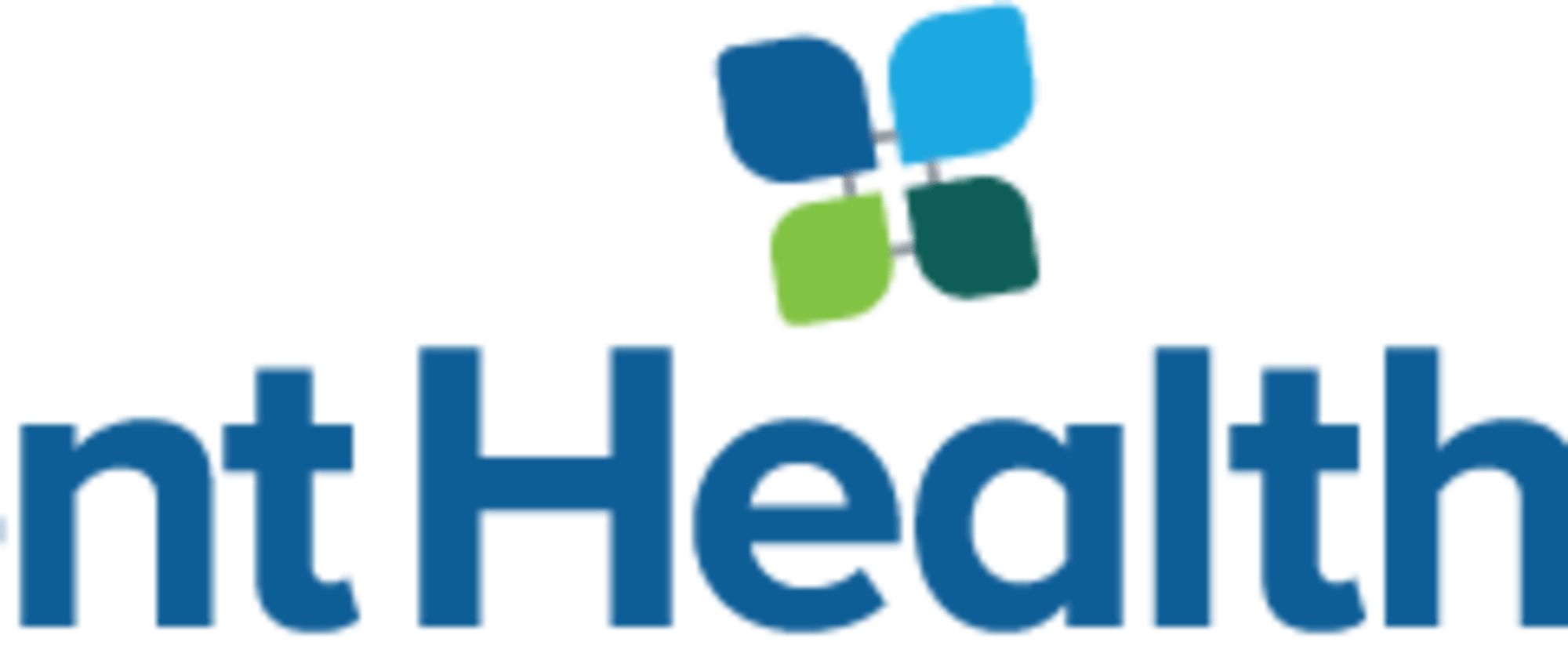 AdventHealth Wesley Chapel workplace