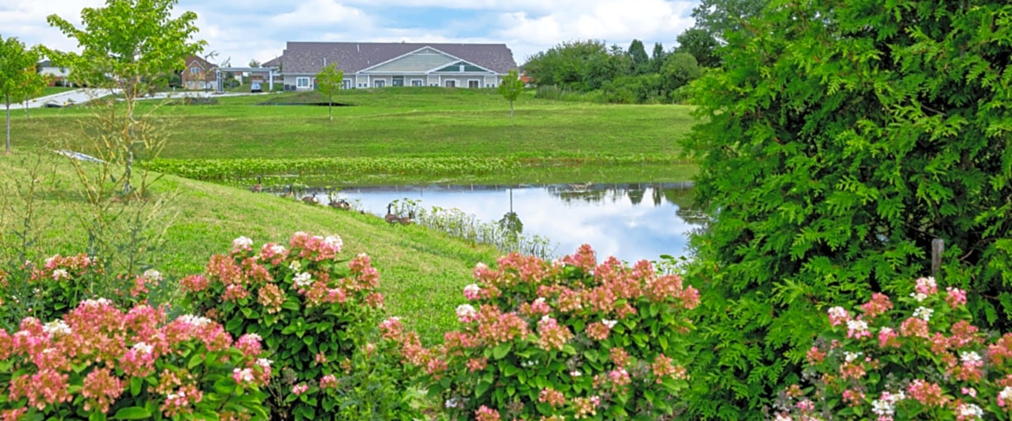SunCloud Health photo