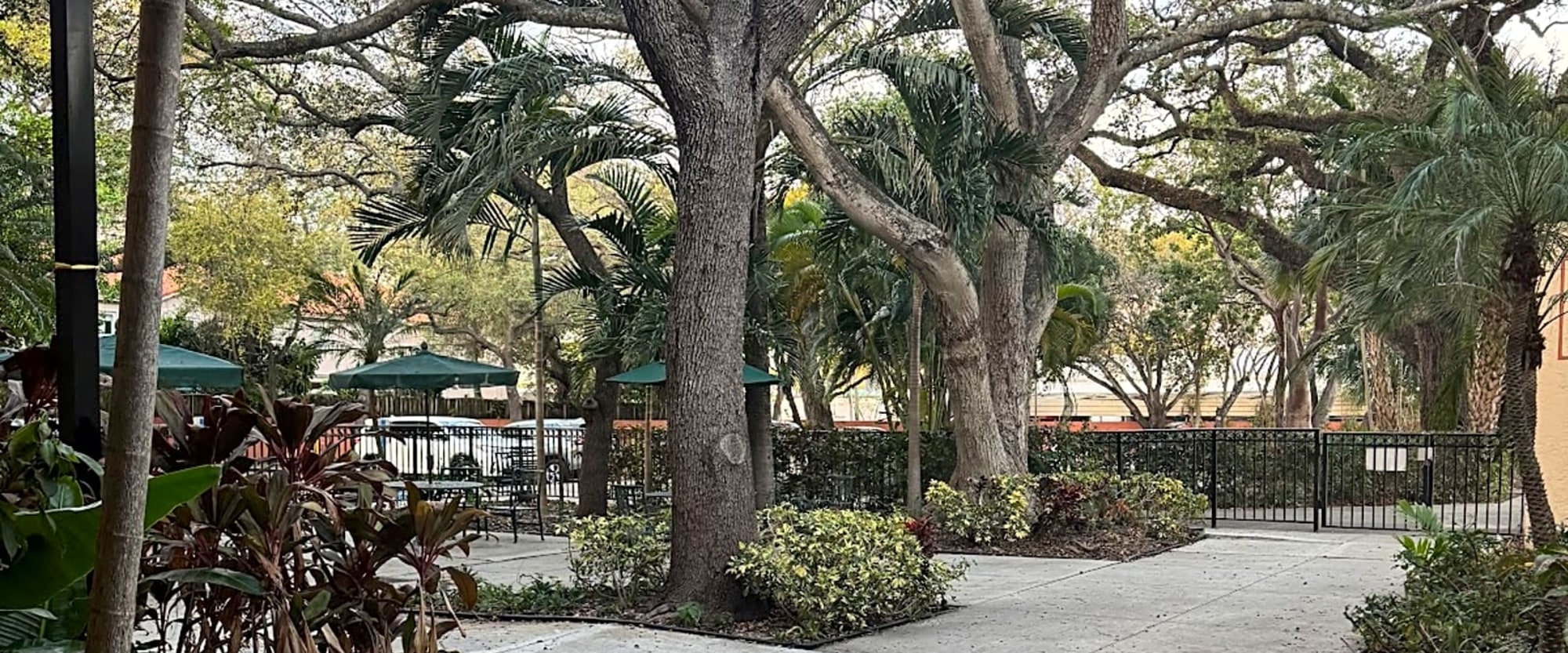 Regents Park at Aventura photo