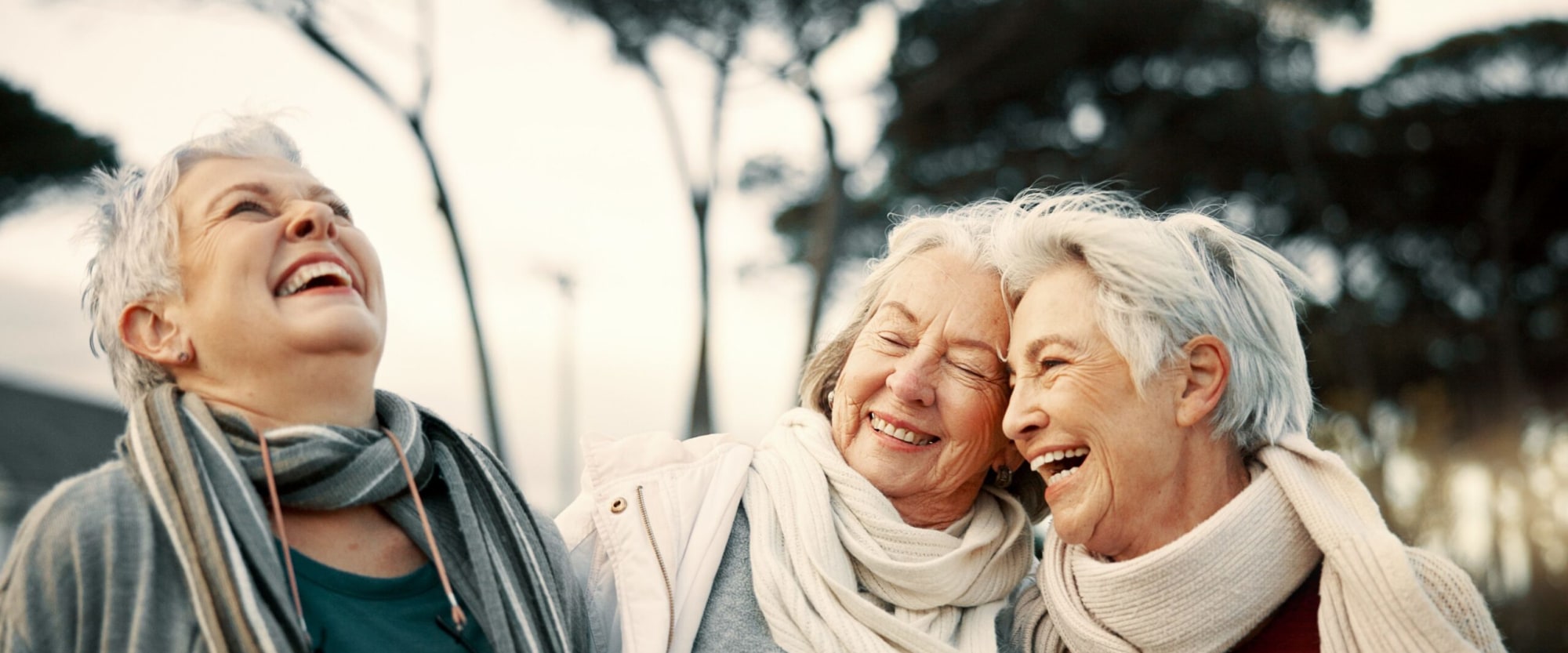Dial Senior Living photo