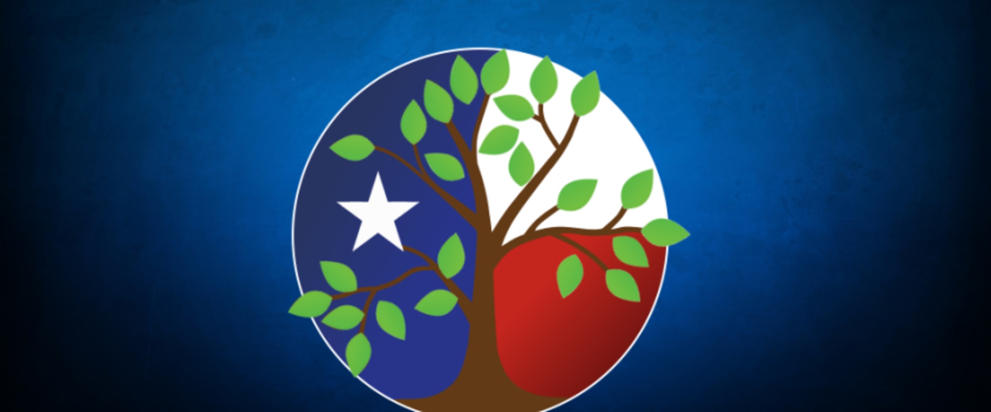 Pecan Valley Mh-mr Region workplace