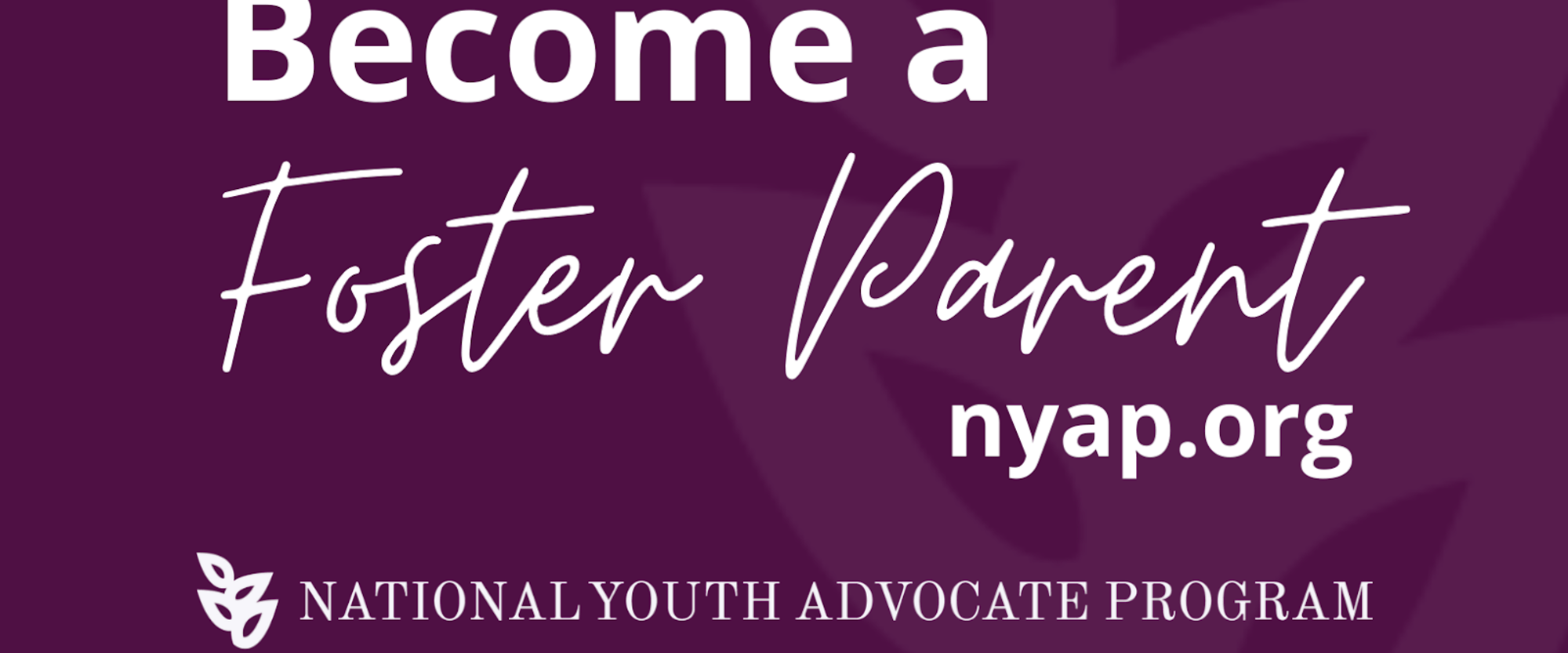 National Youth Advocate Program photo