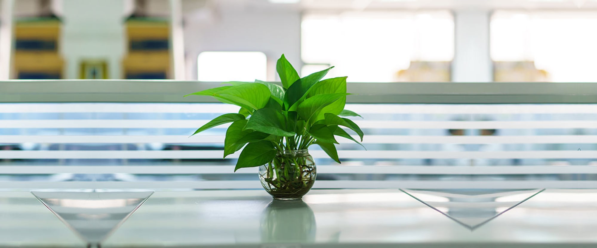 Overlake Arthritis & Osteoporosis Center workplace