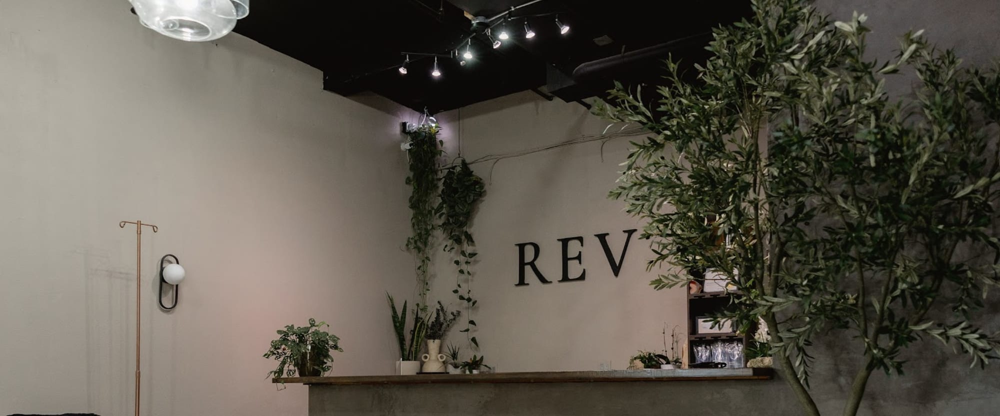 REV IV and Wellness workplace