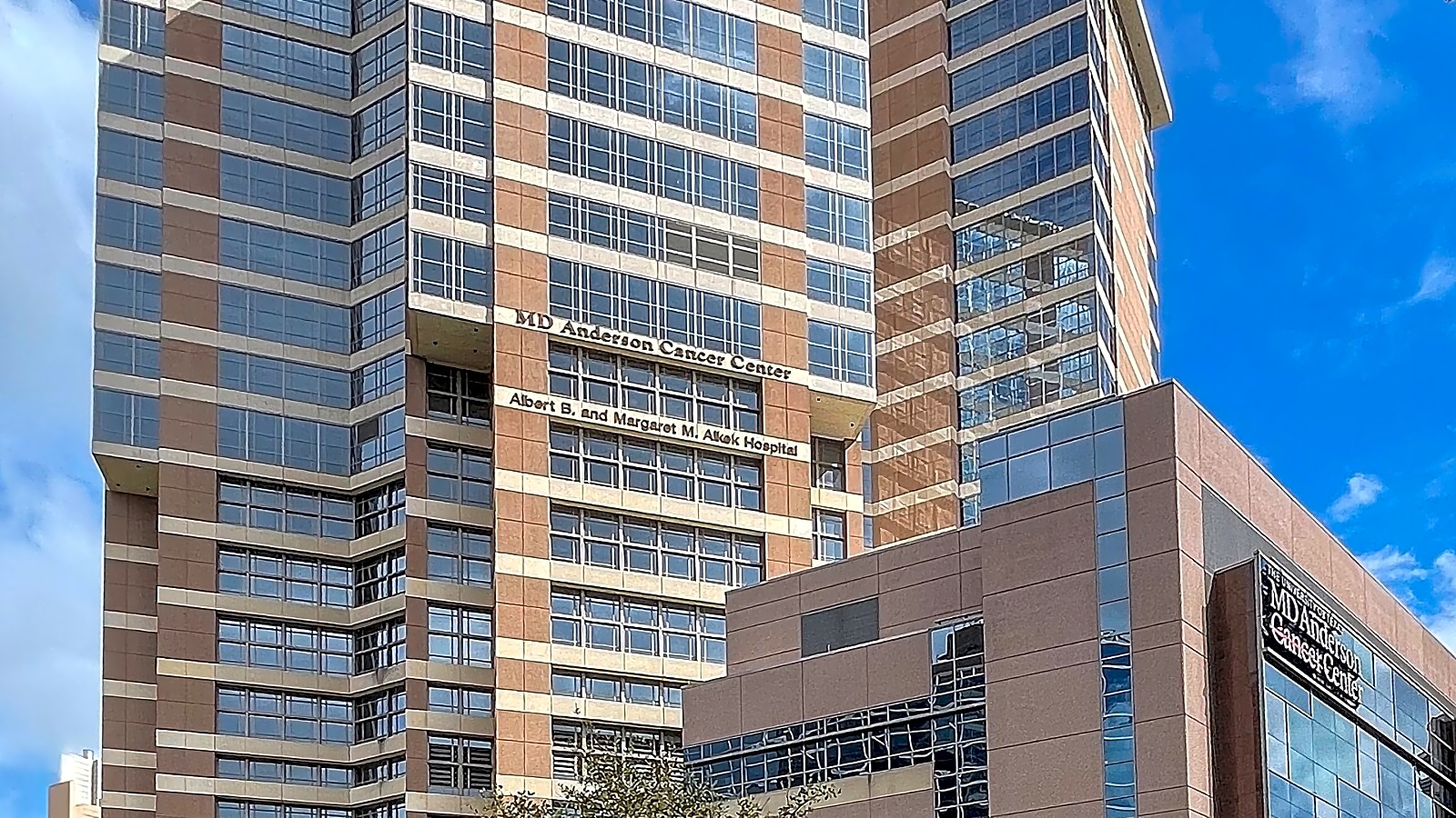 MD Anderson workplace