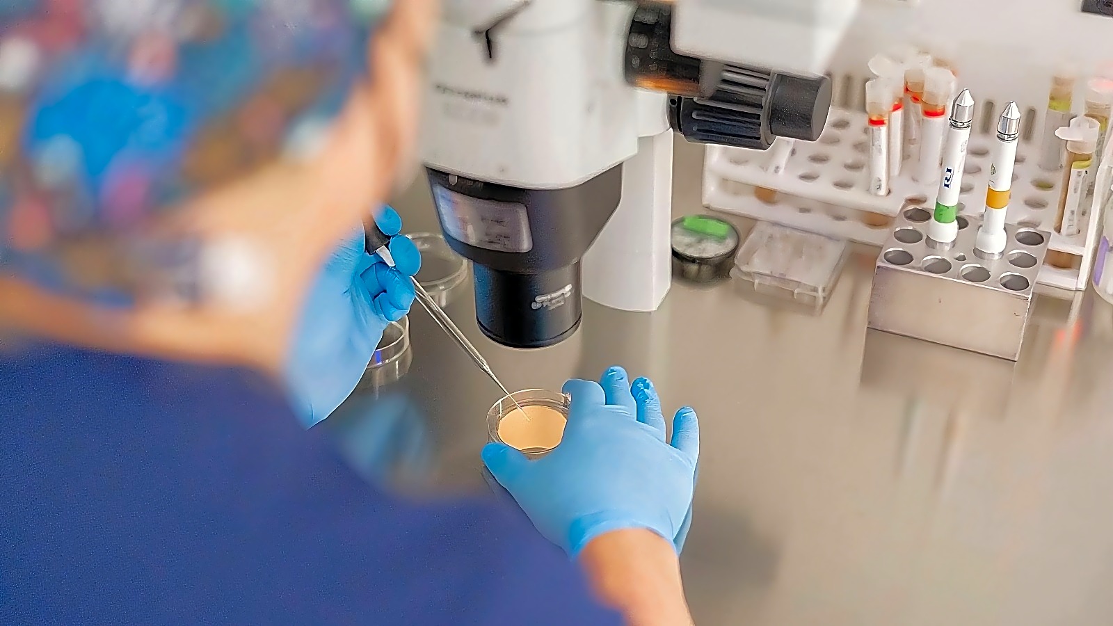 Ivy Fertility-Dallas IVF workplace