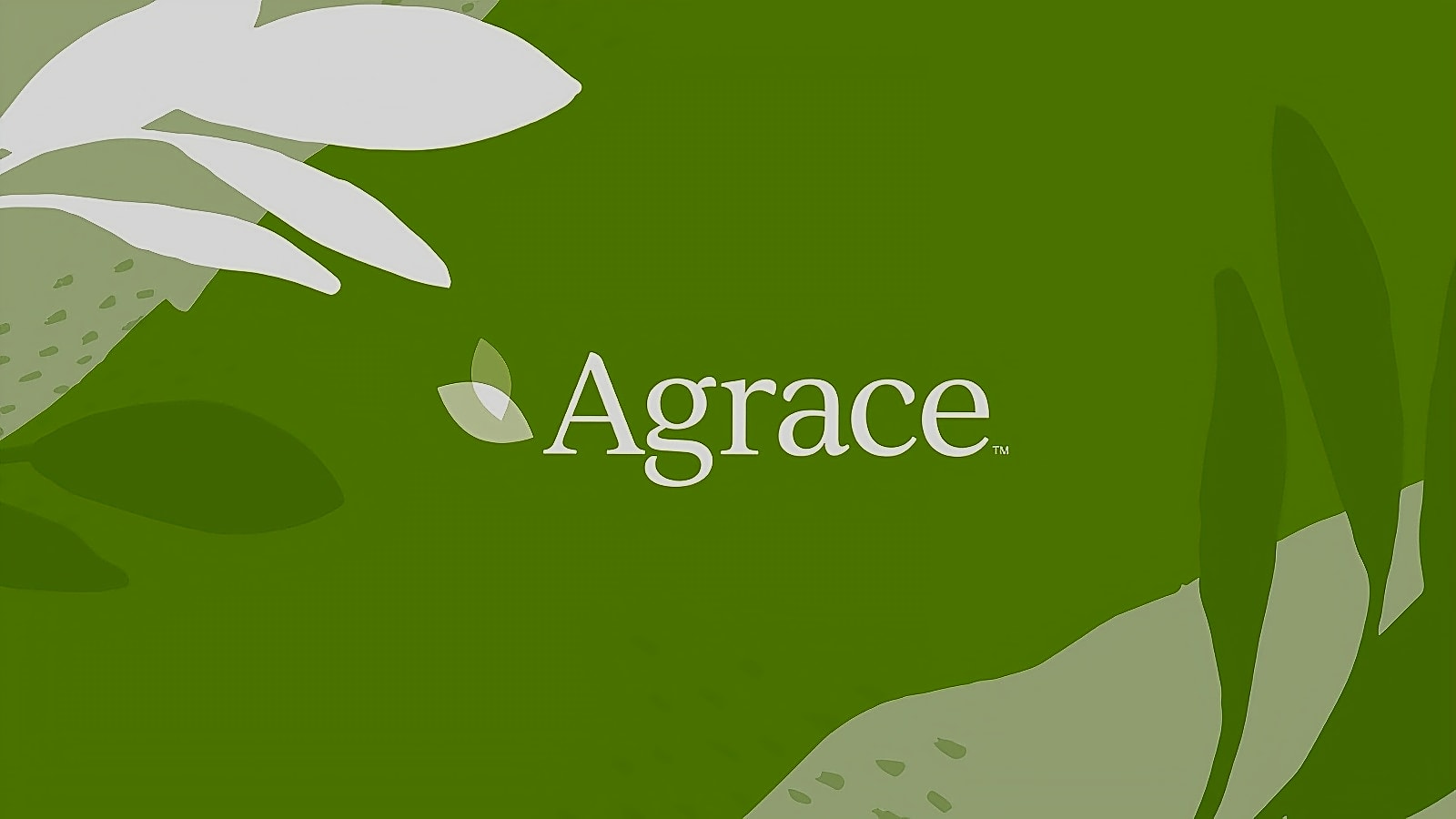 Agrace workplace