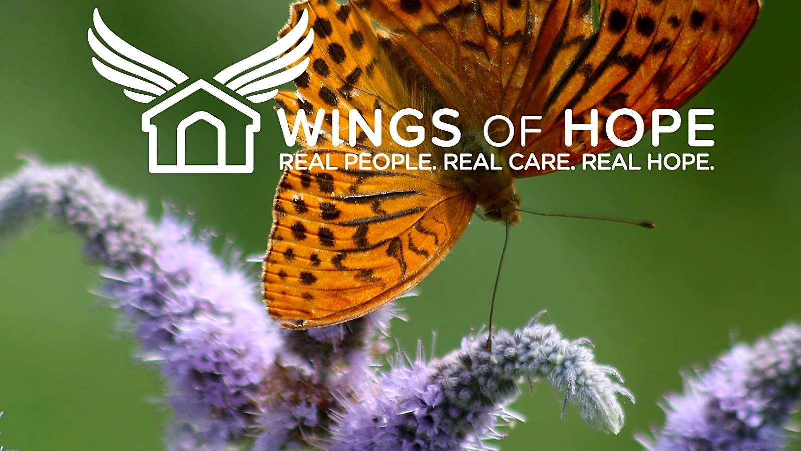 Wings Of Hope Hospice and Palliative care photo