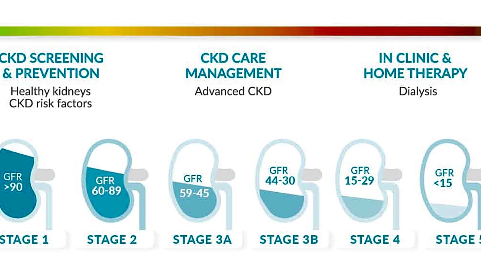 Carmen [kidney] HEALTH workplace