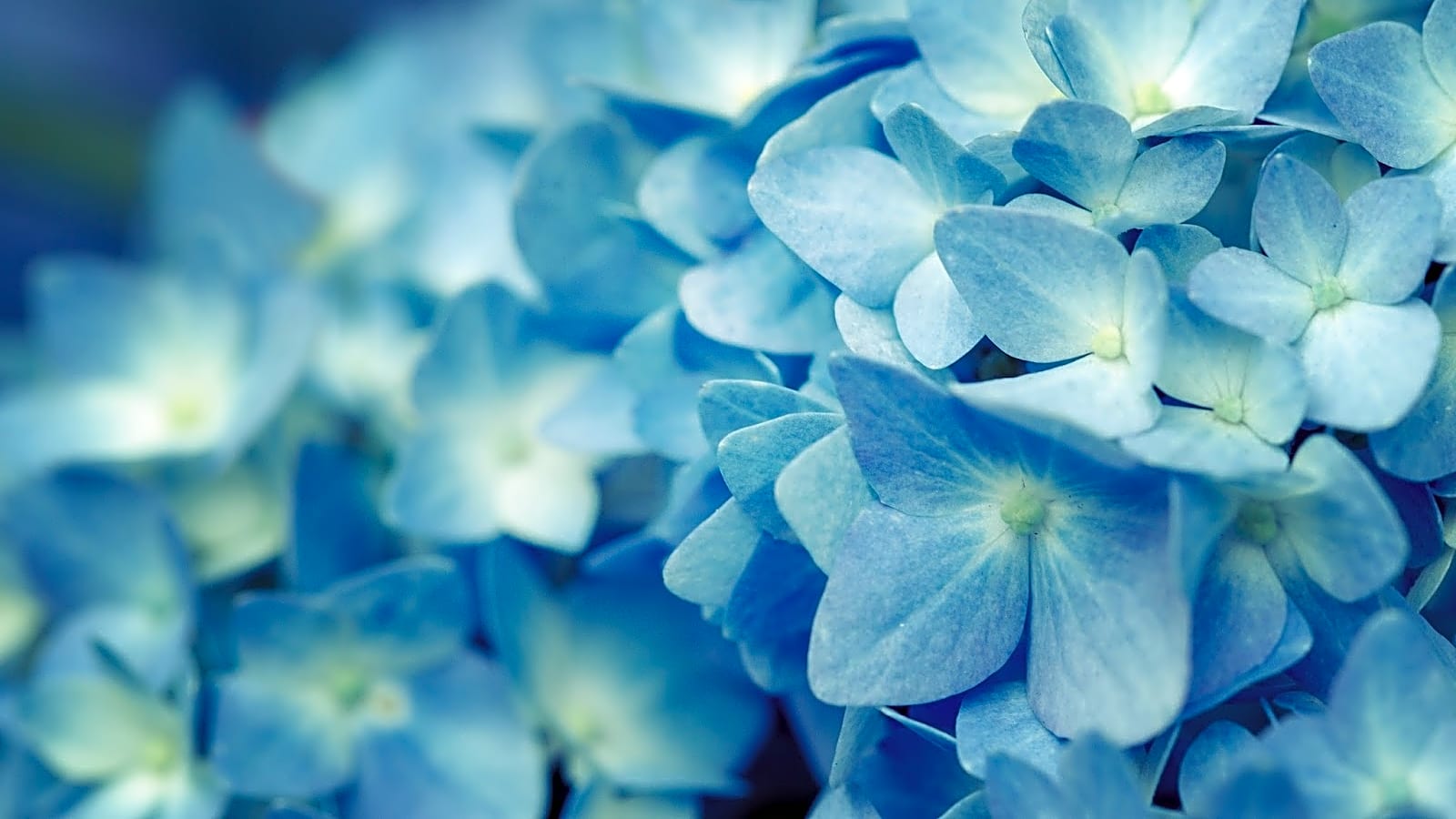 Spring Fertility photo