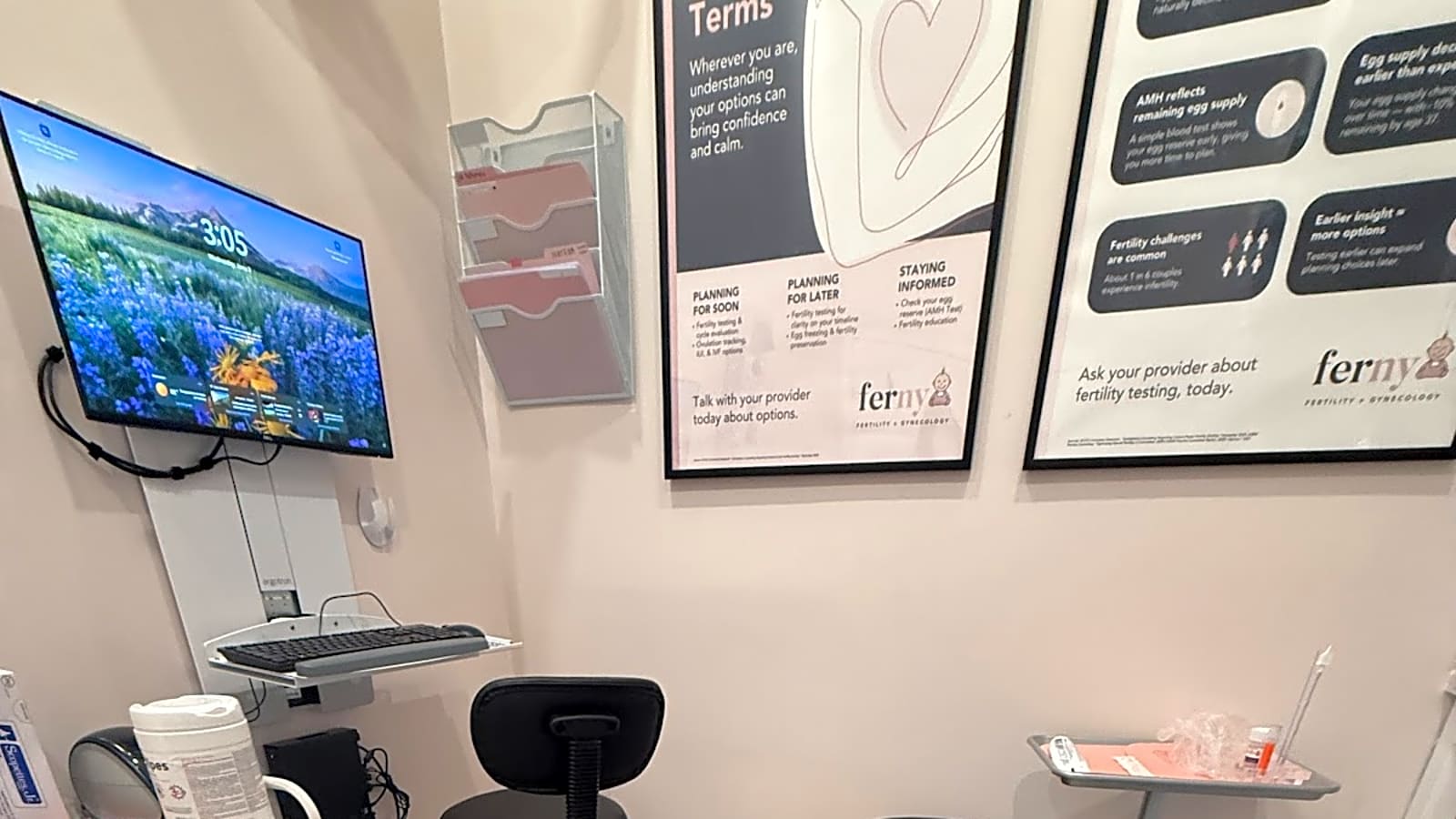 Ferny Fertility New York photo