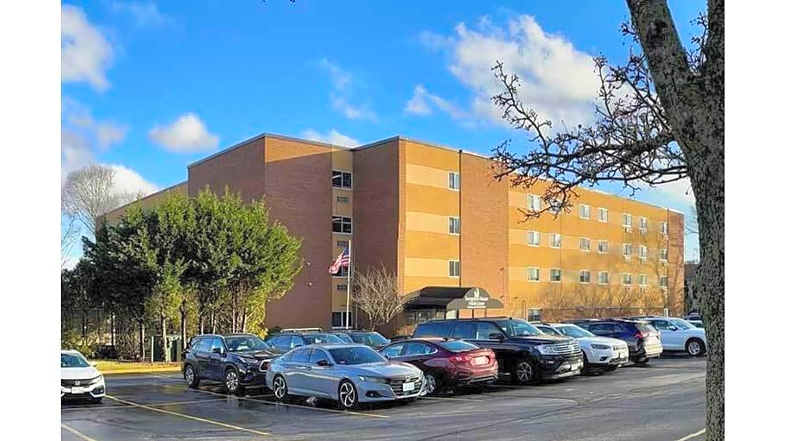 GreenTree Healthcare Management photo