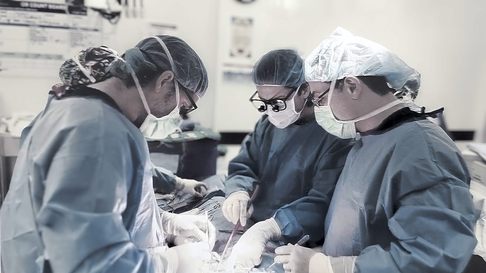 Texas Cardiac and Vascular Specialists workplace