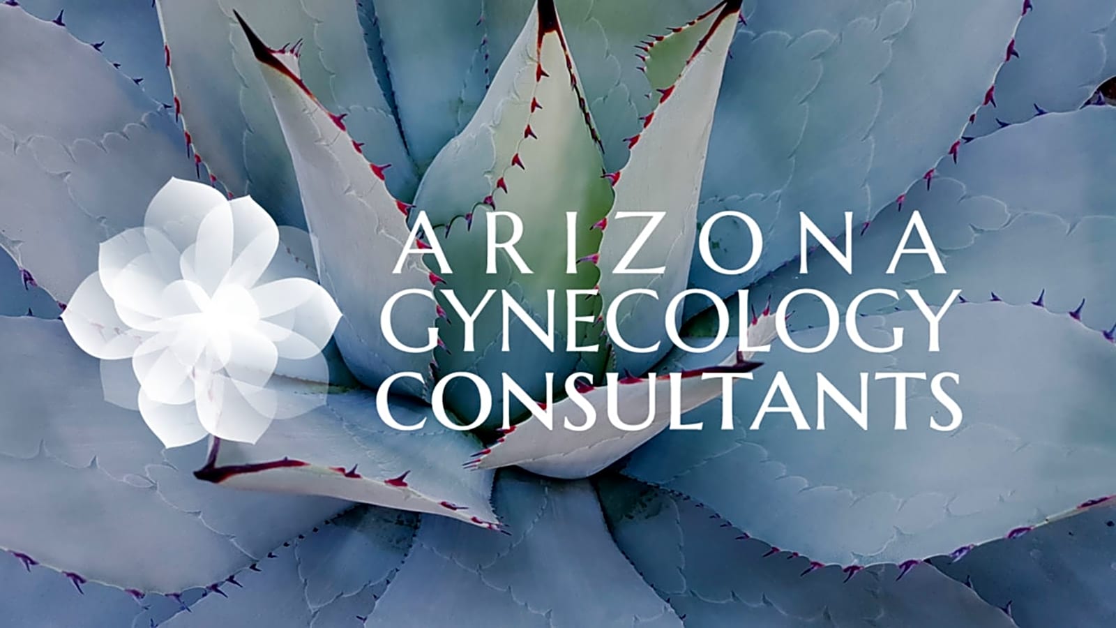 Arizona Gynecology Consultants workplace