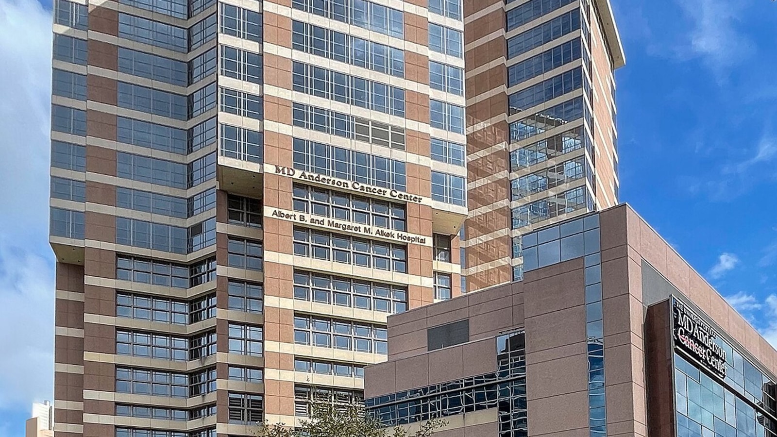 MD Anderson workplace