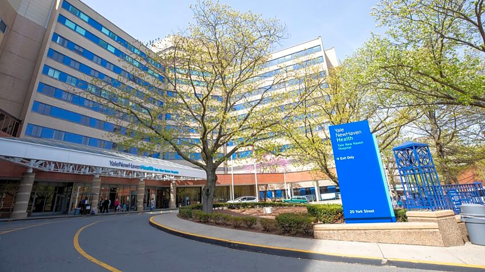 Yale New Haven Health workplace