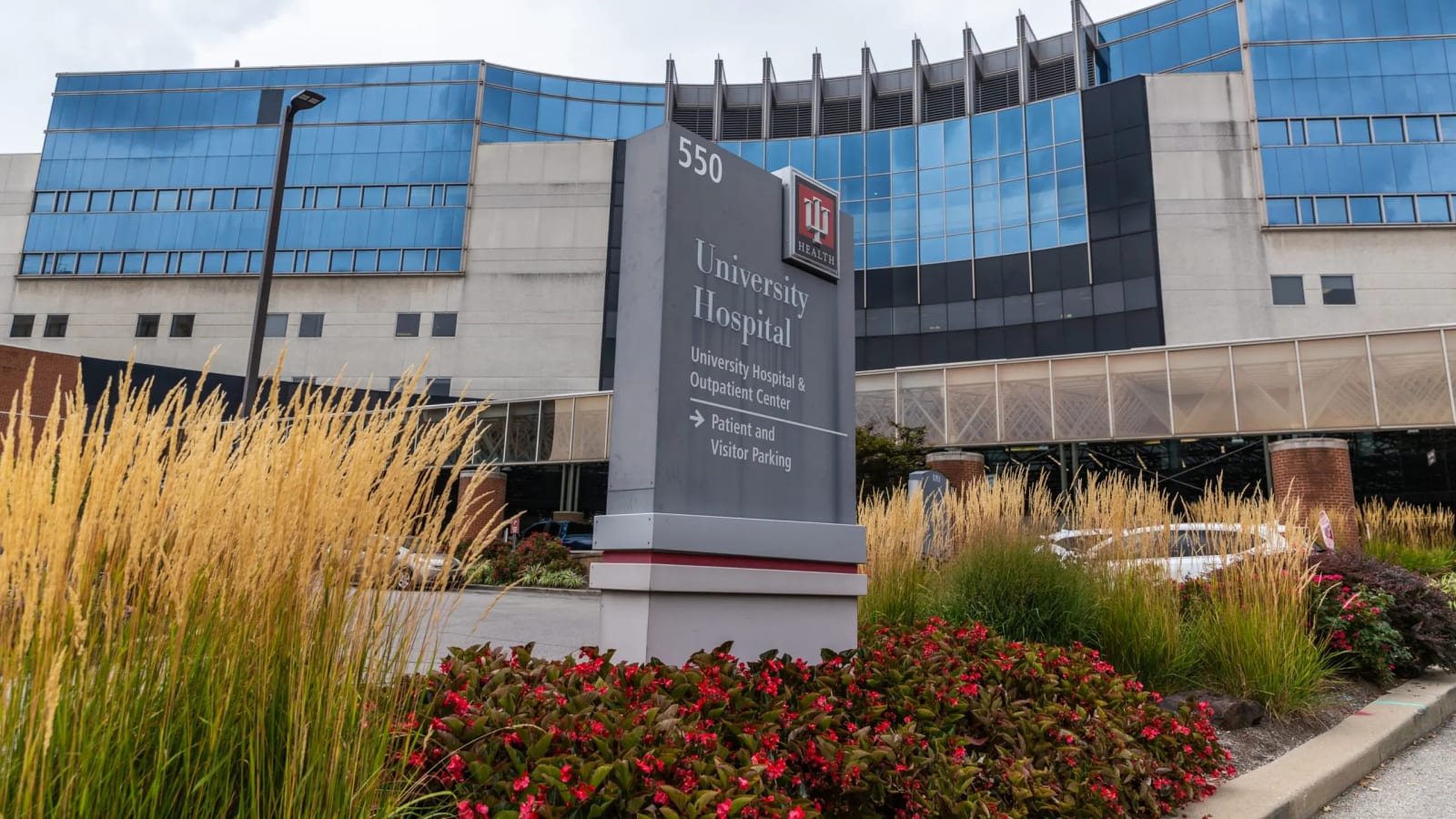 Concerto Renal Services workplace