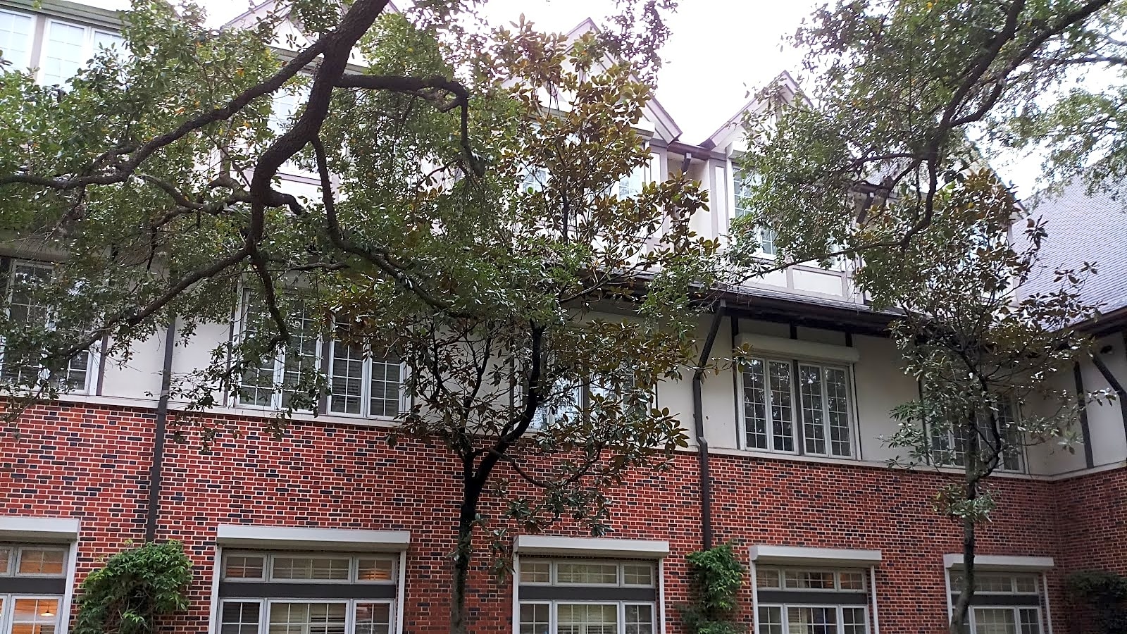 Houston Hospice workplace