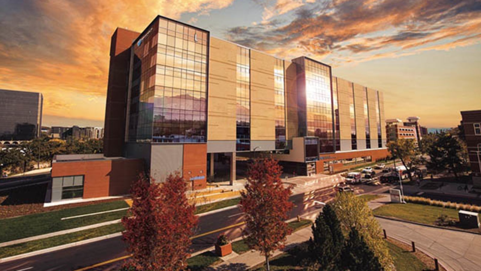 Habitat Health workplace