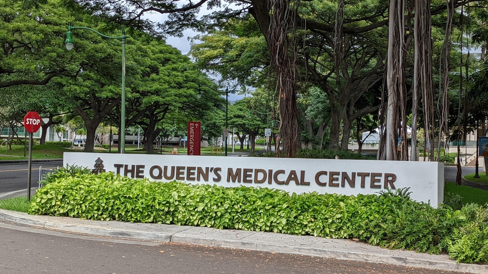 The Queen's Medical Center workplace