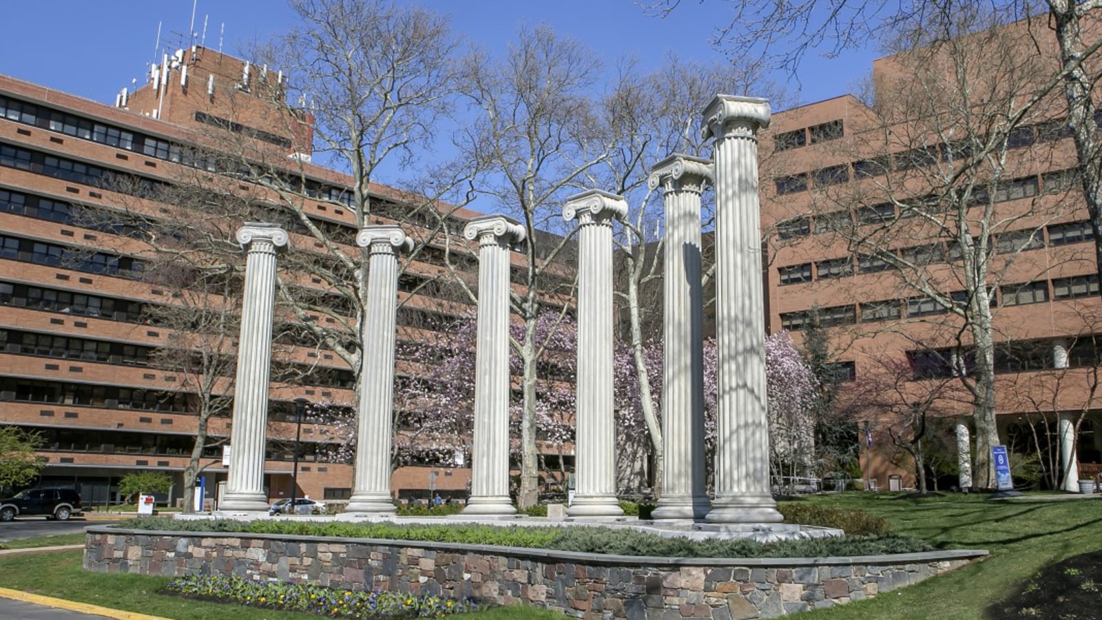 Albert Einstein Medical Center workplace