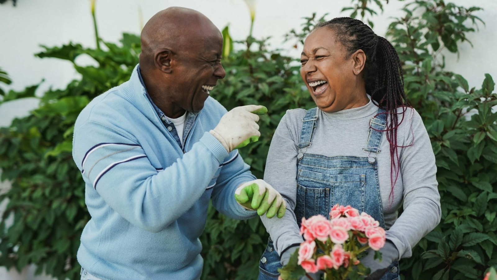 Gardens at Ocotillo Senior Living photo
