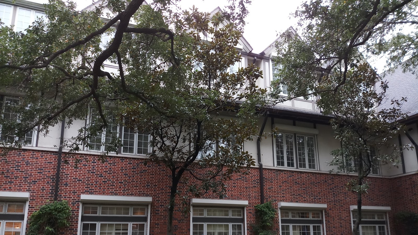 Houston Hospice workplace