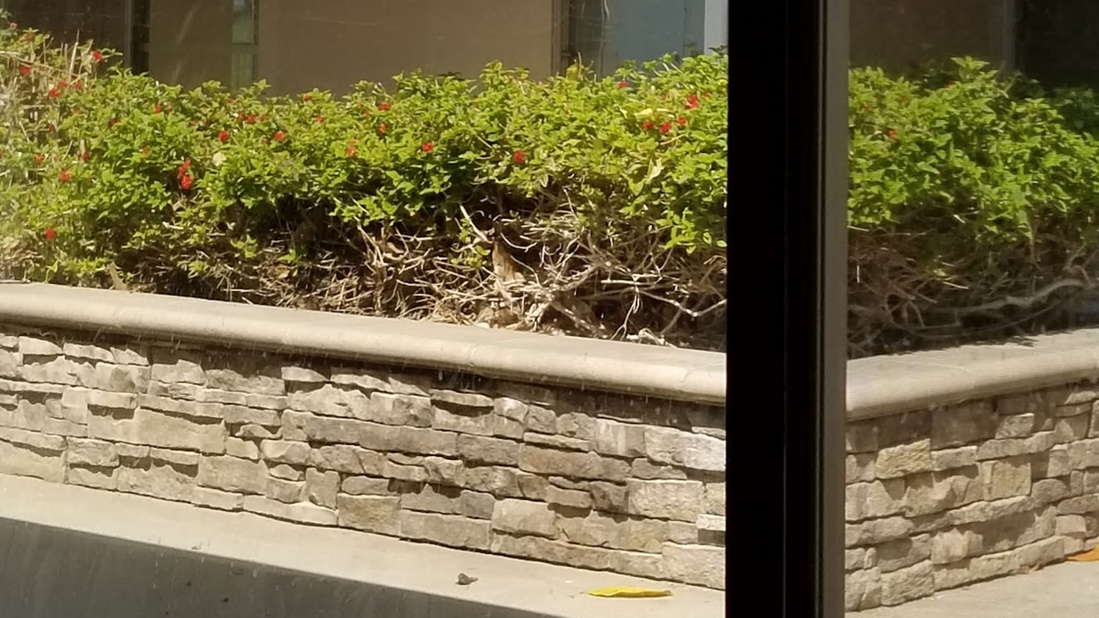 A photo of Heritage Gardens Health Care Center