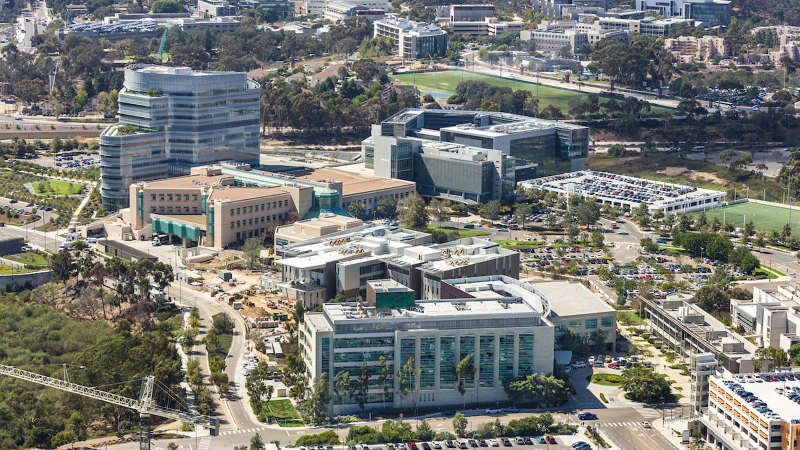UC San Diego Health photo