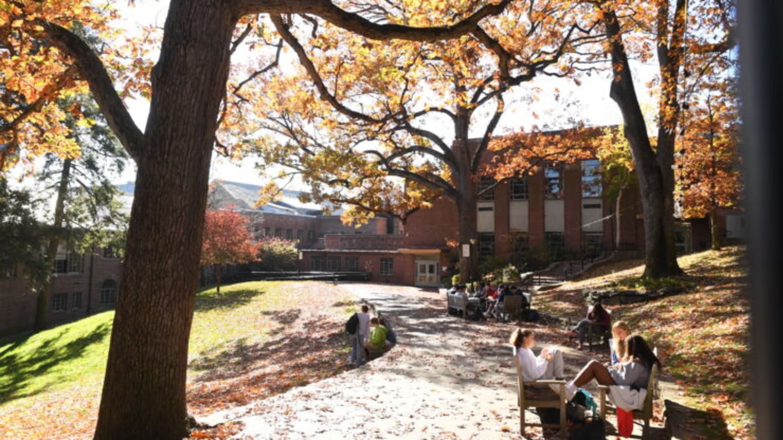 Ethical Culture Fieldston School photo