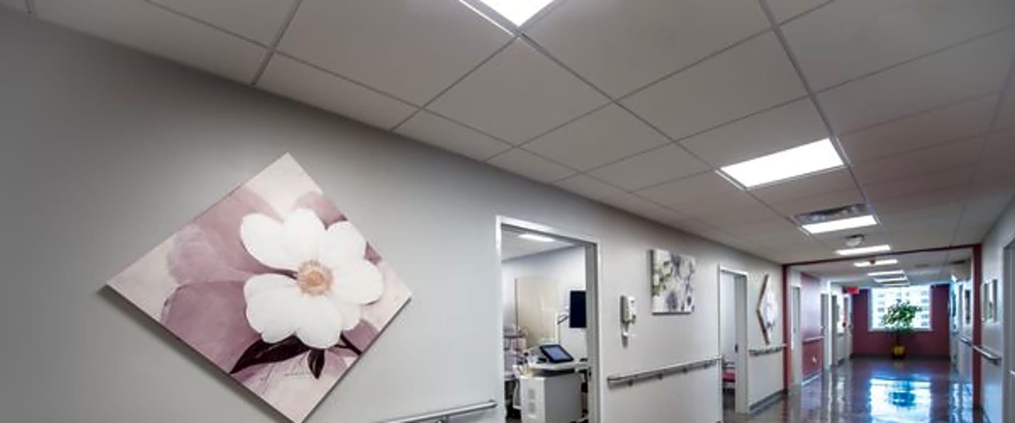 CareWell Health workplace