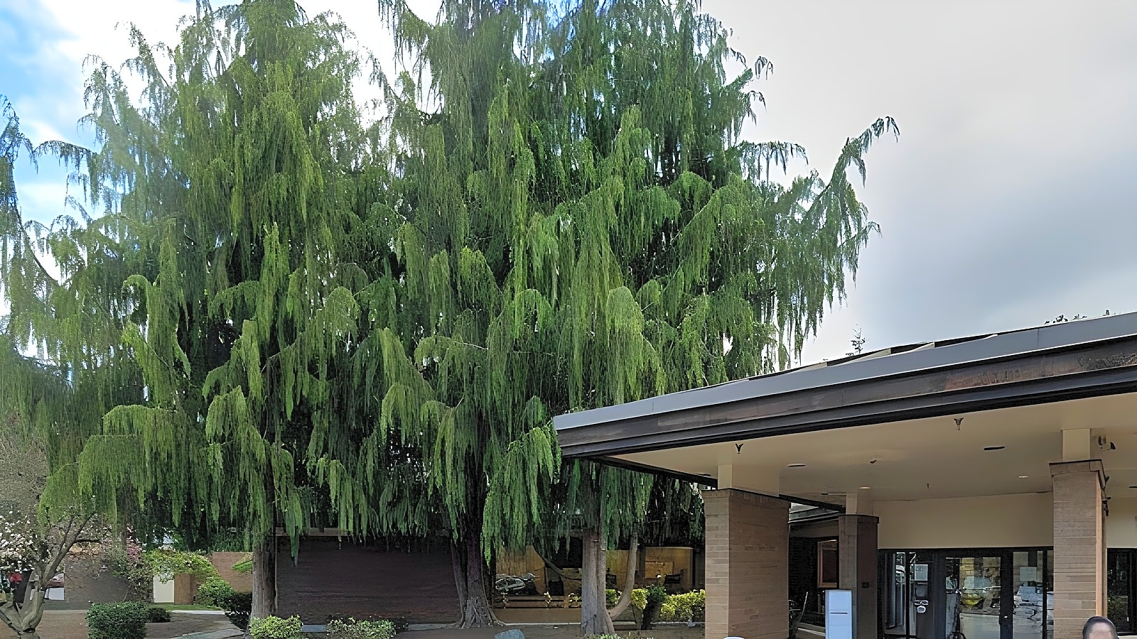 Sea Mar Community Health Center photo