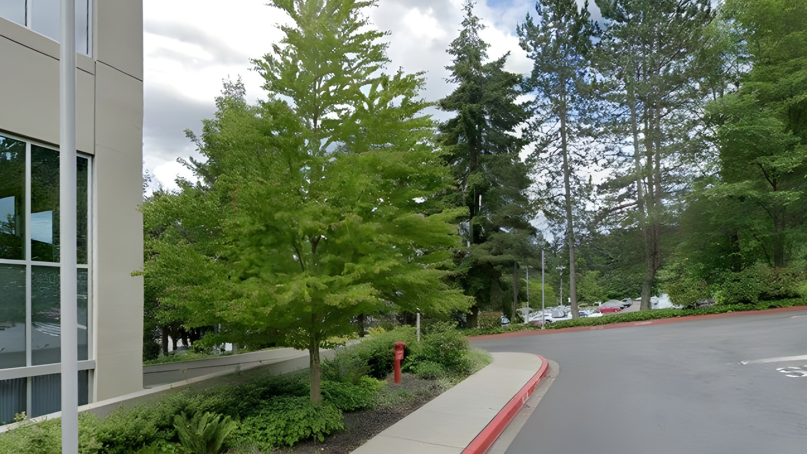 LifeCenter Northwest photo