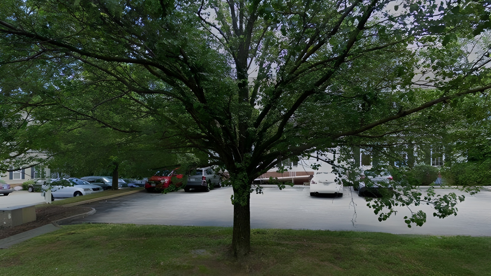 A photo of BrightStar Care of Central/SW VA