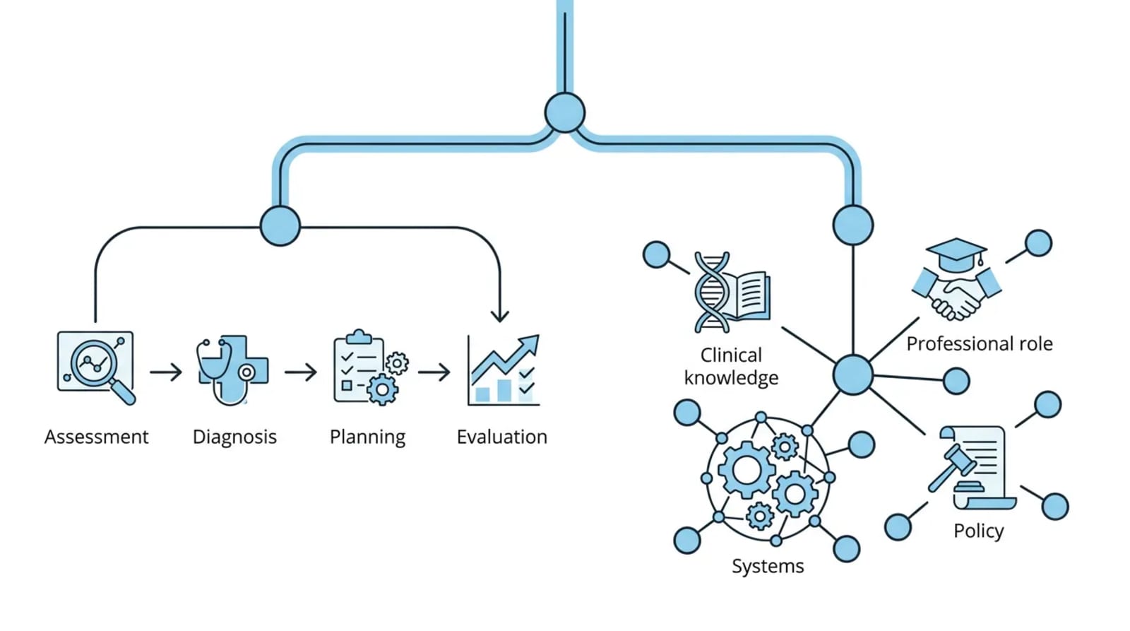 One certification decision point forking into two routes: AANP as a linear assess-diagnose-plan-evaluate clinical-task path, ANCC as a branching web of clinical knowledge, professional role, systems, and policy