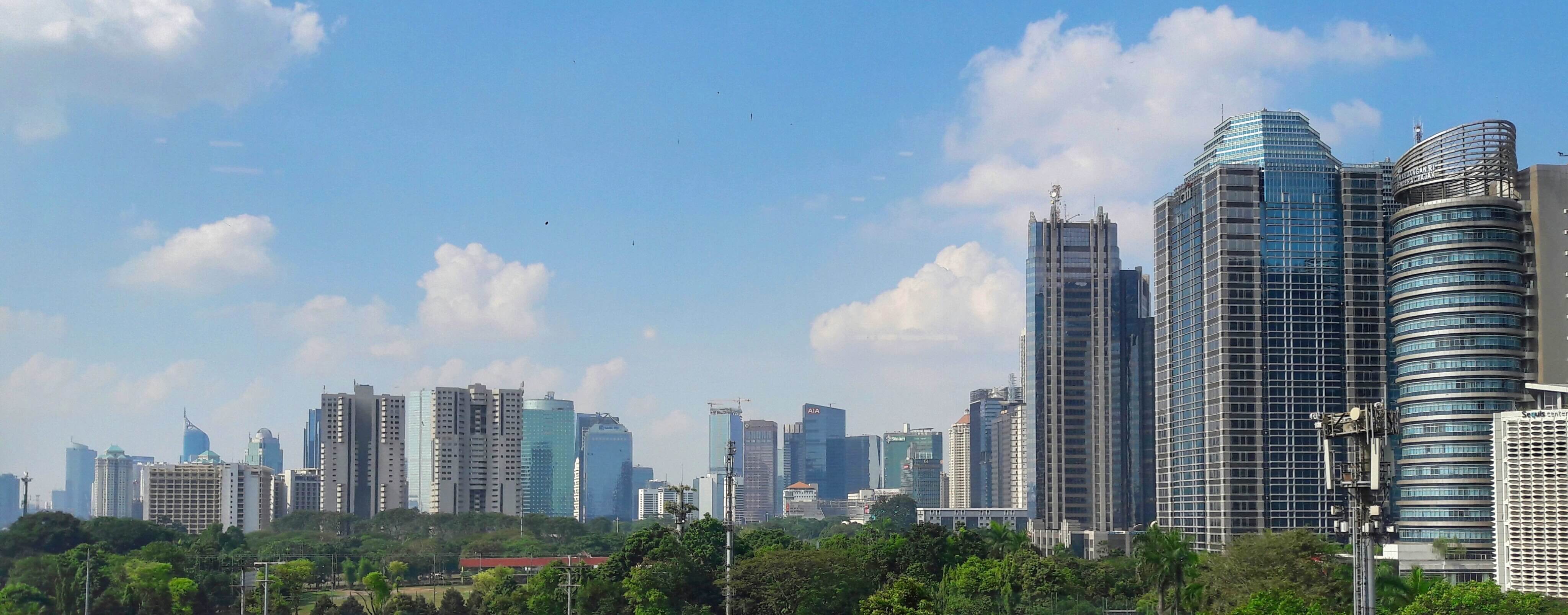 Hayman Capital - Indonesia