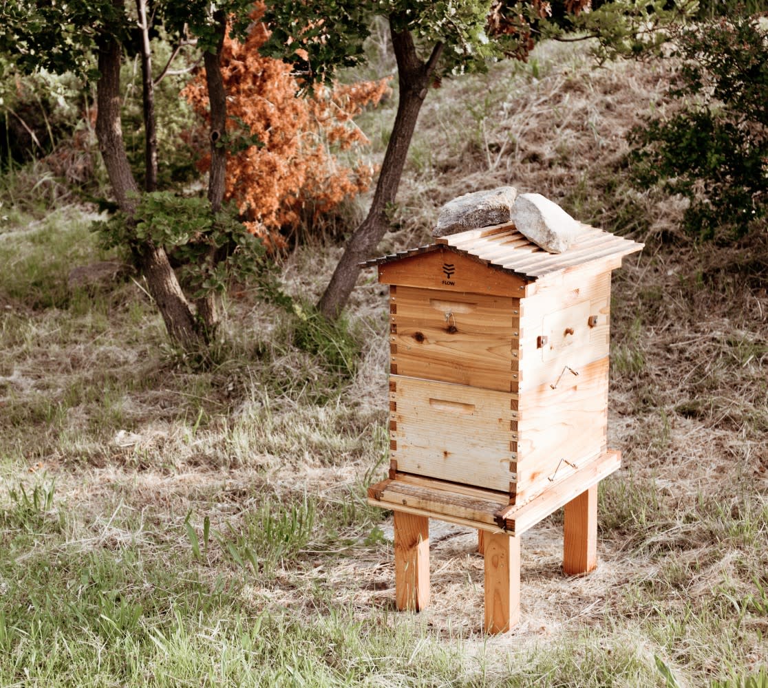 Apiculture à Chêne Bleu