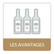 les bouteilles de vin