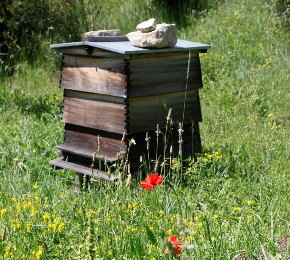 Projet de biodiversité