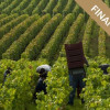 image_thumb_Domaine de Bellene