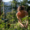 image_thumb_Saveur Sauvage