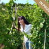image_thumb_Elena Fucci