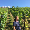 image_thumb_Produire un court-métrage sur le Grand Cru Zinnkoepflé